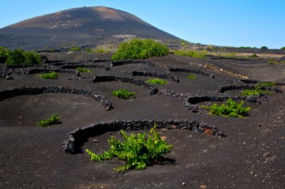 Lanzarote007-tcm57-165861